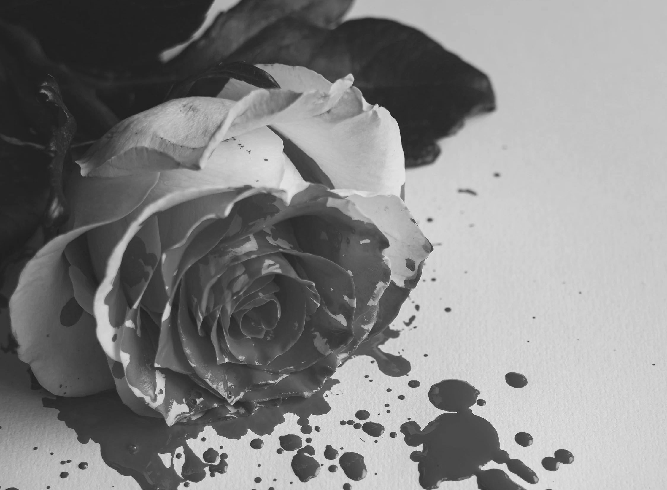 时隔一个月，畅销榜疯狂换血近3成，12月的小游戏怎么了？