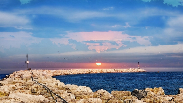 十九条干货！国务院发文，自贸区将有这些大变化！